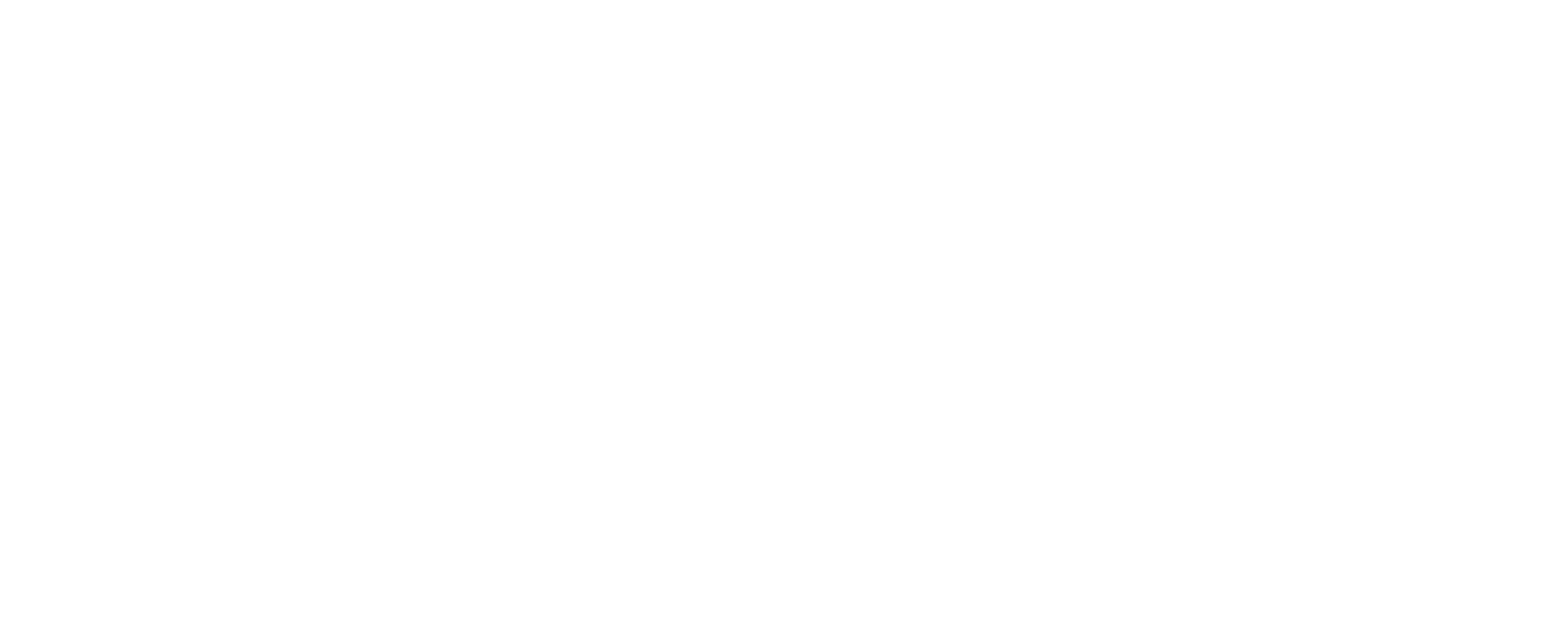 TechOneVision_Logo-02